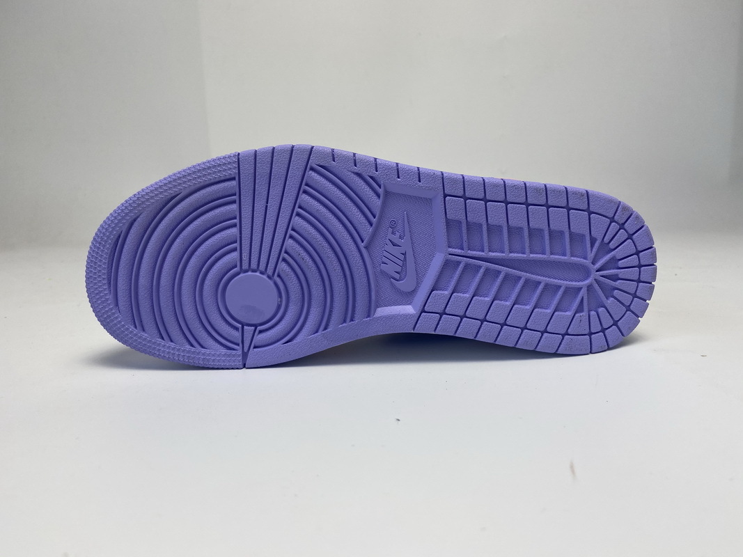 Air Jordan 1 Low SE Arctic Punch CK3022-600