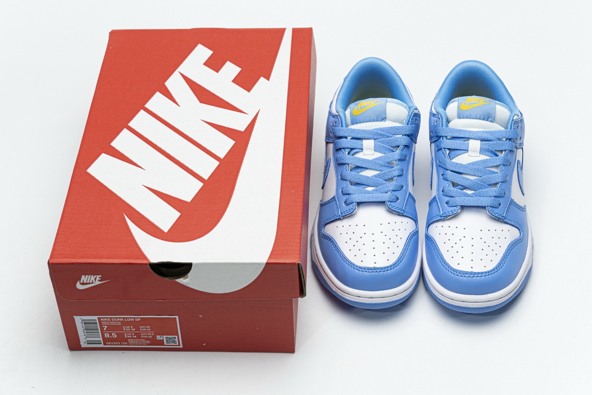 Nike SB Dunk Low Coast Blue DD1503-100