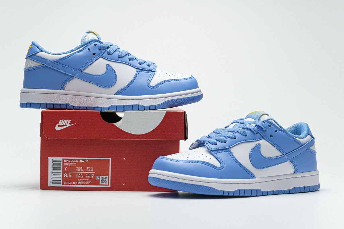 Nike SB Dunk Low Coast Blue DD1503-100