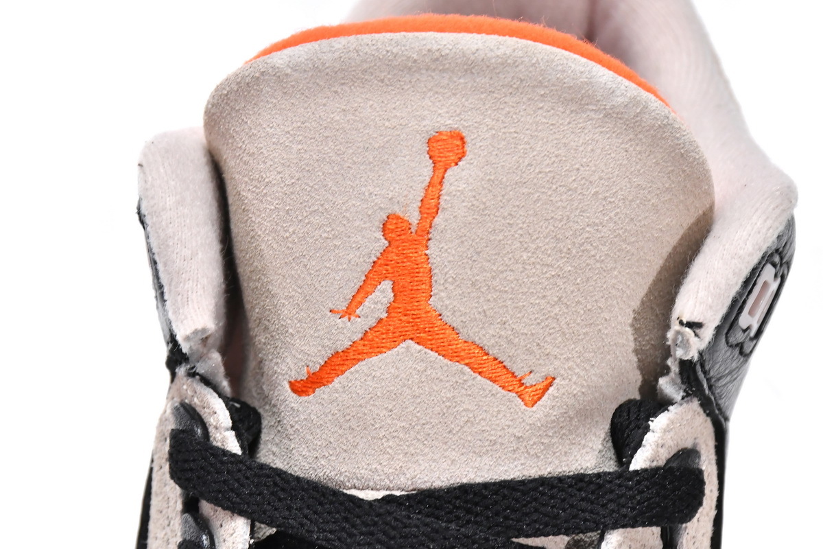 Air Jordan 3 Retro Desert Elephant CT8532-008