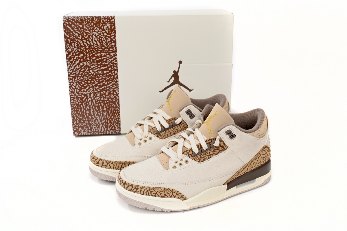 Jordan 3 Retro Palomino CT8532-102