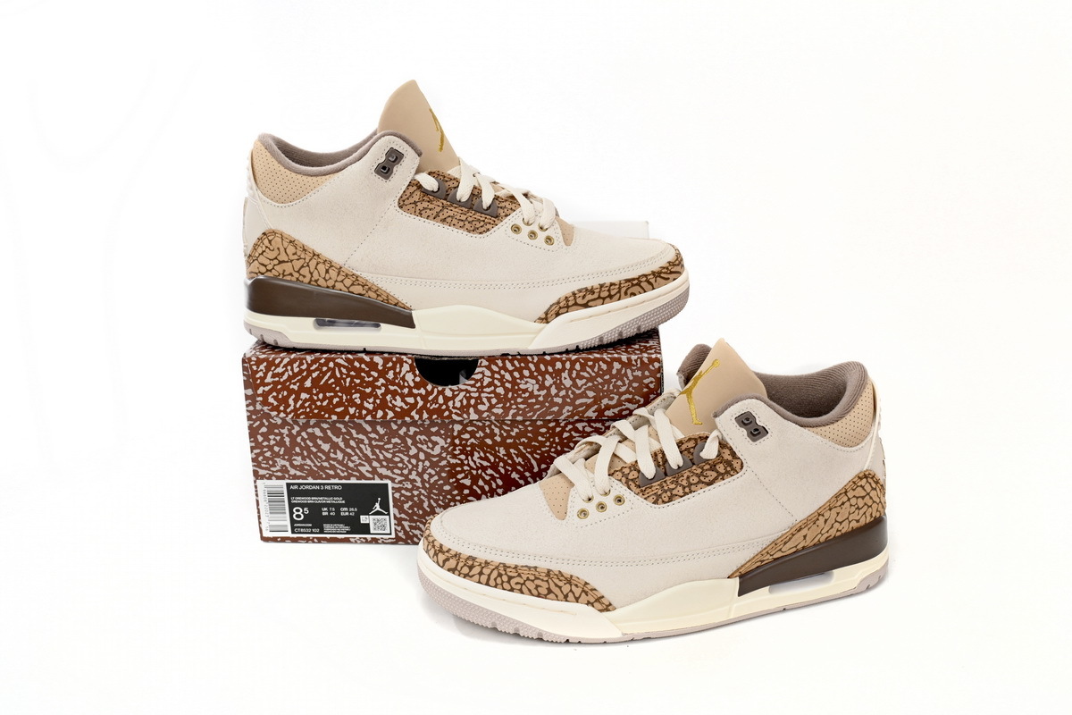 Jordan 3 Retro Palomino CT8532-102