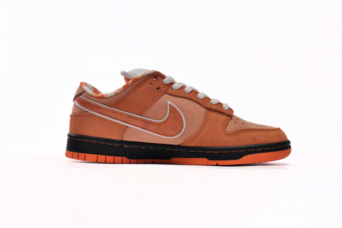 Concepts x Dunk Low SB Orange Lobster FD8776-800