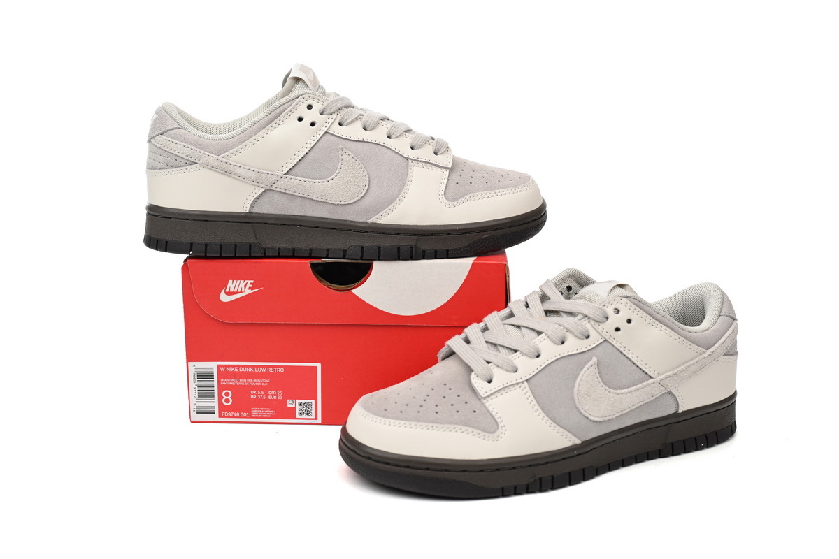 Nike Dunk Low Ironstone FD9746-001