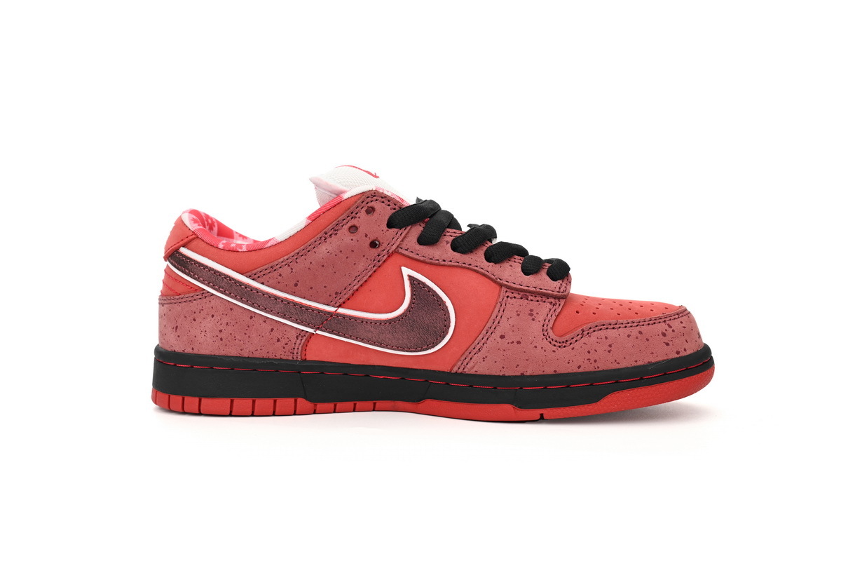Concepts x Dunk Low SB Red Lobster 313170-661