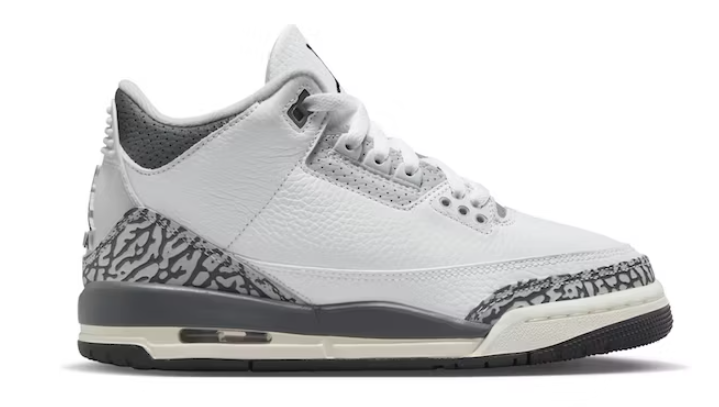 Jordan 3 Retro Hide N' Sneak DX6665-100