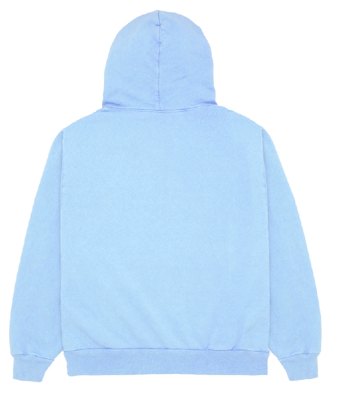 Sp5der Web Hoodie 3829