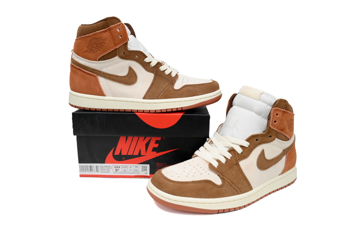 Jordan 1 Retro High OG SP Dusted Clay FQ2941-200