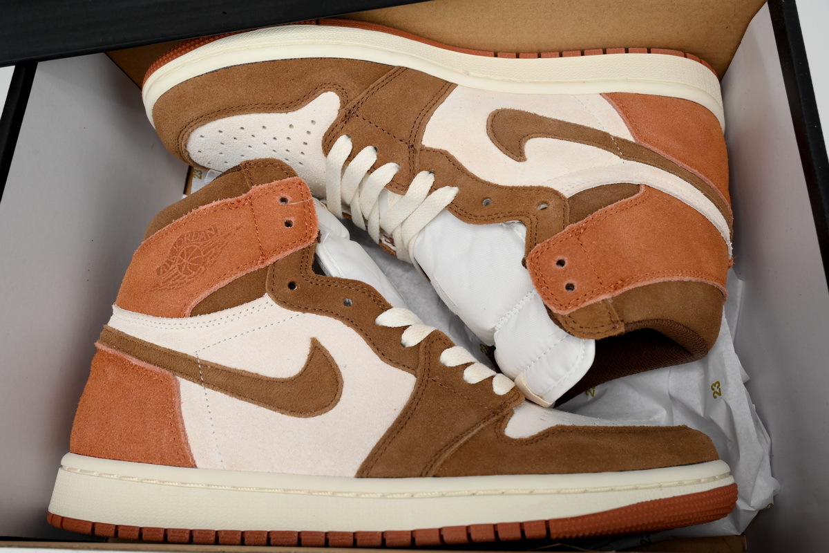 Jordan 1 Retro High OG SP Dusted Clay FQ2941-200