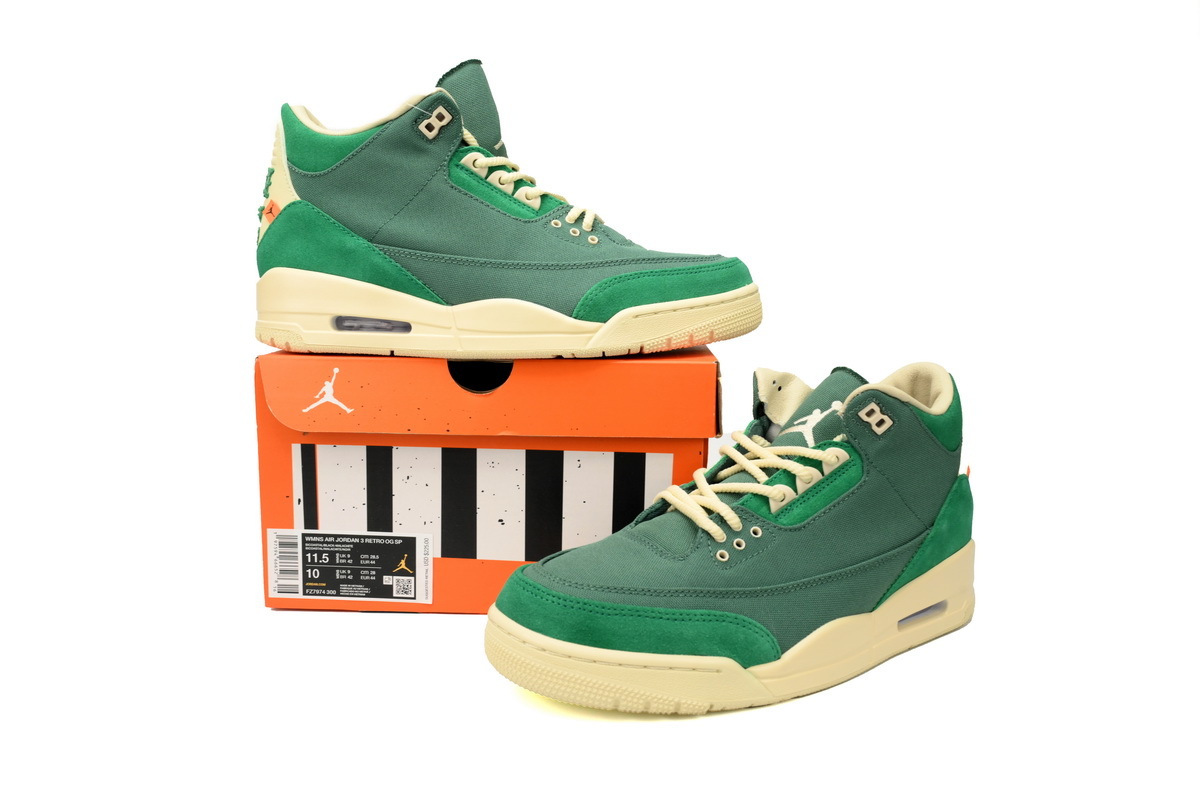Jordan 3 Retro SP Nina Chanel Abney Bicoastal FZ7974-300